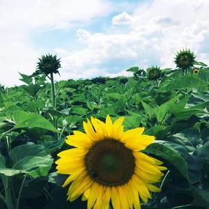 Meet your Posher, Gina